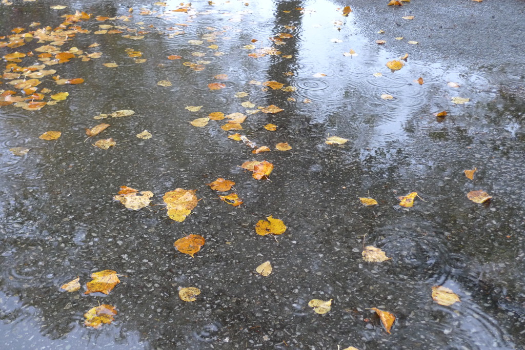 Regn